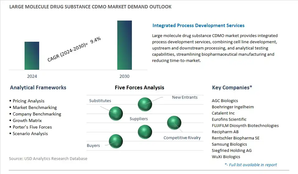 Large Molecule Drug Substance Cdmo Market Demand And Growth Insights